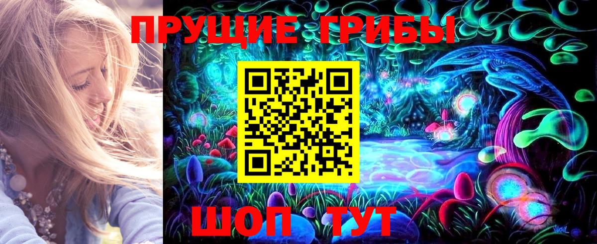 Псилоцибиновые грибы MAGIC MUSHROOMS Камень-на-Оби