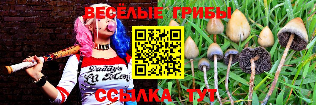 Камень-на-Оби  Галлюциногенные грибы мухоморы  Вход с VPN  Галлюциногенные грибы Cubensis 